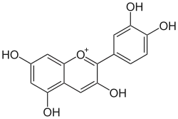 Image illustrative de l’article Cyanidine