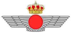 Image illustrative de l’article Armée de l'air et de l'espace (Espagne)