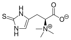 Image illustrative de l’article Ergothionéine