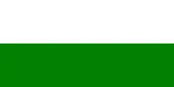 Drapeau de Canton de General Antonio Elizalde