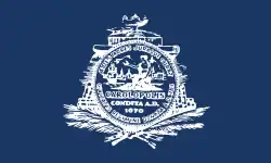 Drapeau de Charleston