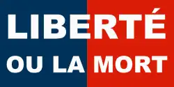 Image illustrative de l’article Armée indigène