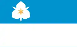 Drapeau de Salt Lake City