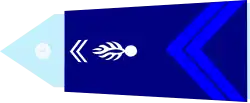 Image illustrative de l’article Brigadier (Gendarmerie française)