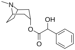 Image illustrative de l’article Homatropine