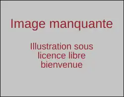 Description de cette image, également commentée ci-après
