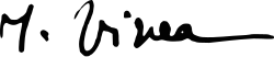 signature d'Ion Vinea