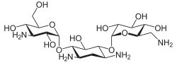 Image illustrative de l’article Kanamycine
