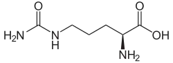 Image illustrative de l’article Citrulline