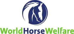 Logo de l’association