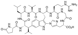 Image illustrative de l’article Moroïdine
