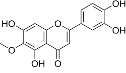 Image illustrative de l’article Népétine