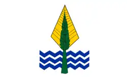 Drapeau de Gouvernorat de la Nouvelle-Vallée
