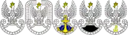 Image illustrative de l’article Forces armées polonaises