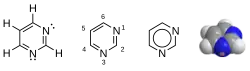 Image illustrative de l’article Pyrimidine
