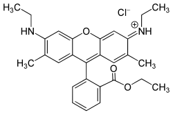 Image illustrative de l’article Rhodamine 6G