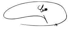 signature de Hossein Dehghan