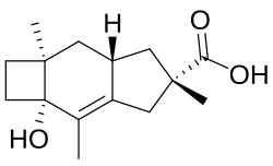 Image illustrative de l’article Acide sterpurique
