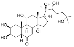 Image illustrative de l’article Turkestérone