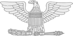 Image illustrative de l’article Colonel (États-Unis)