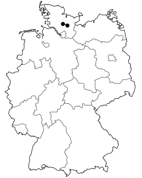 Image illustrative de l’article Bundesstraße 205