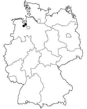 Image illustrative de l’article Bundesstraße 211