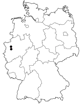 Image illustrative de l’article Bundesstraße 223