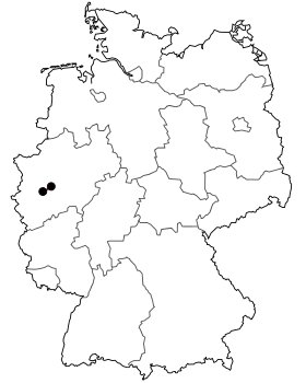 Image illustrative de l’article Bundesstraße 228