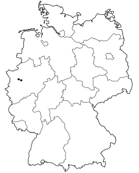 Image illustrative de l’article Bundesstraße 231
