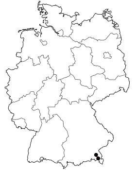 Image illustrative de l’article Bundesstraße 306