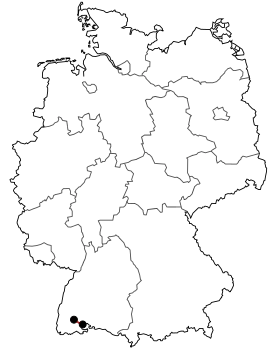 Image illustrative de l’article Bundesstraße 315