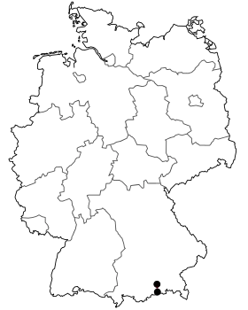 Image illustrative de l’article Bundesstraße 318