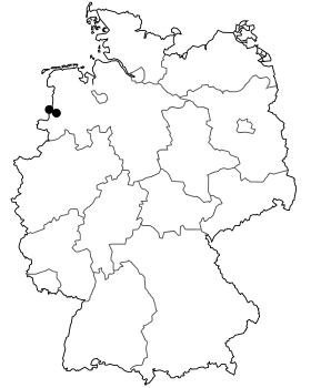 Image illustrative de l’article Bundesstraße 408