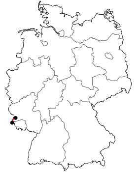 Image illustrative de l’article Bundesstraße 419