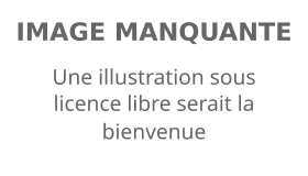 Image illustrative de l’article Alexandre Devoise