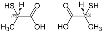 Image illustrative de l’article Acide thiolactique