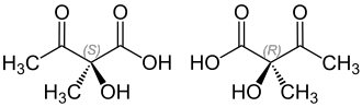 Image illustrative de l’article Acide acétolactique