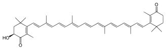 Image illustrative de l’article Adonirubine