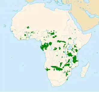 Description de cette image, également commentée ci-après