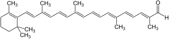 Image illustrative de l’article Apocaroténal