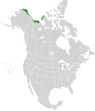 Description de l'image Arctic coastal tundra map.svg.
