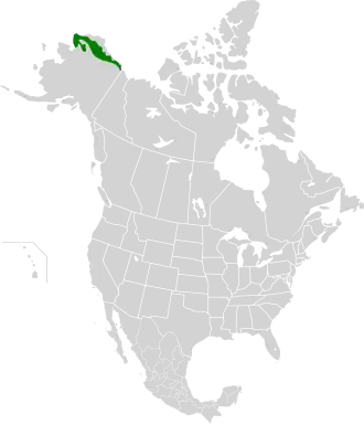 Description de l'image Arctic foothills tundra map.svg.