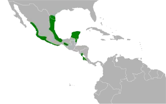Description de l'image Arremonops rufivirgatus map.svg.
