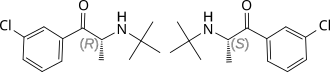 Image illustrative de l’article Bupropion