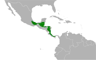 Description de l'image Caryothraustes poliogaster map.svg.