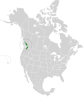 Description de l'image Cascade Mountains leeward forests map.svg.