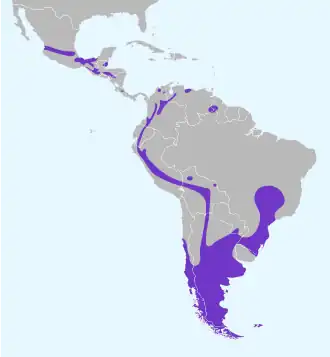 Description de l'image Cistothorus platensis map 2019.svg.