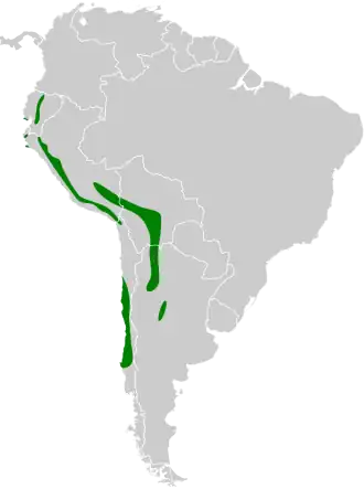 Description de l'image Corydospiza alaudina map.svg.