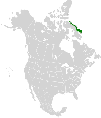 Description de l'image Davis Highlands tundra map.svg.