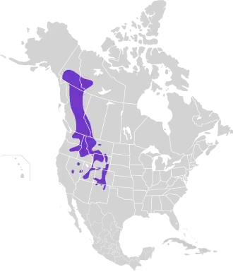 Description de l'image Dendragapus obscurus map.svg.